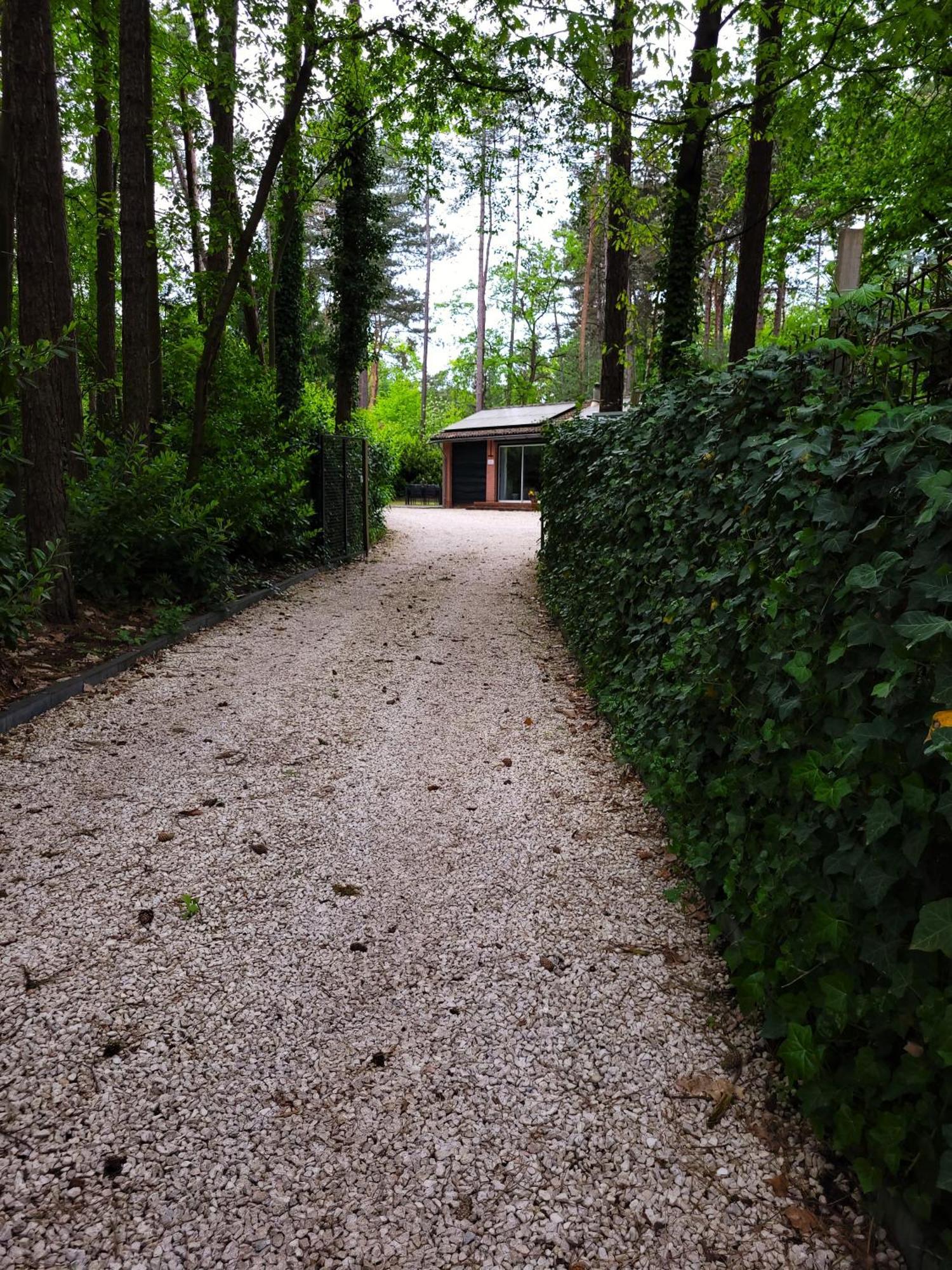 Secret Wellness Boszicht Villa Holten Exterior photo